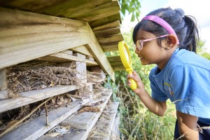 Article Thumbnail Image